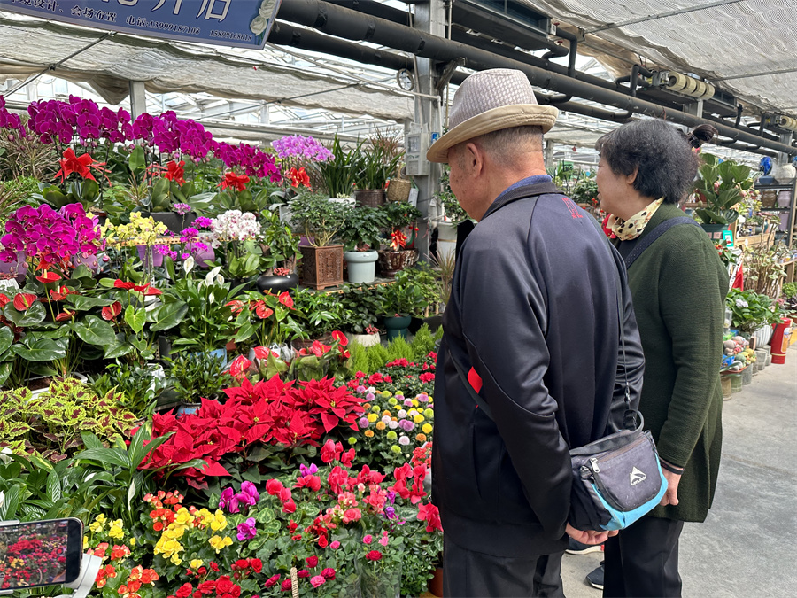 节日氛围浓 花市人气旺(图2)
