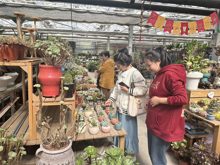 节日氛围浓 花市人气旺(图3)