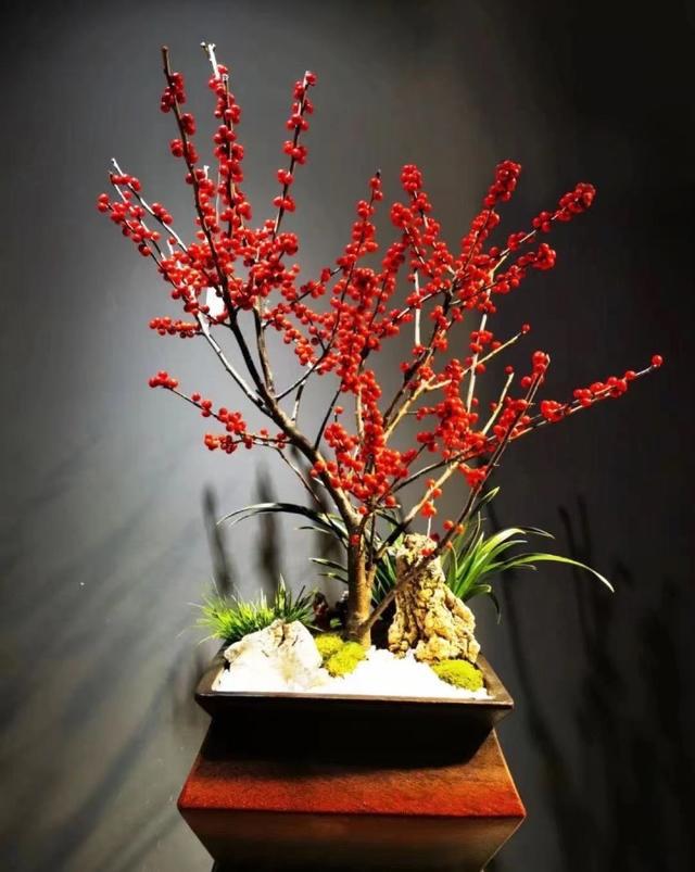 新春时节成都花卉消费“春暖花开”(图4)