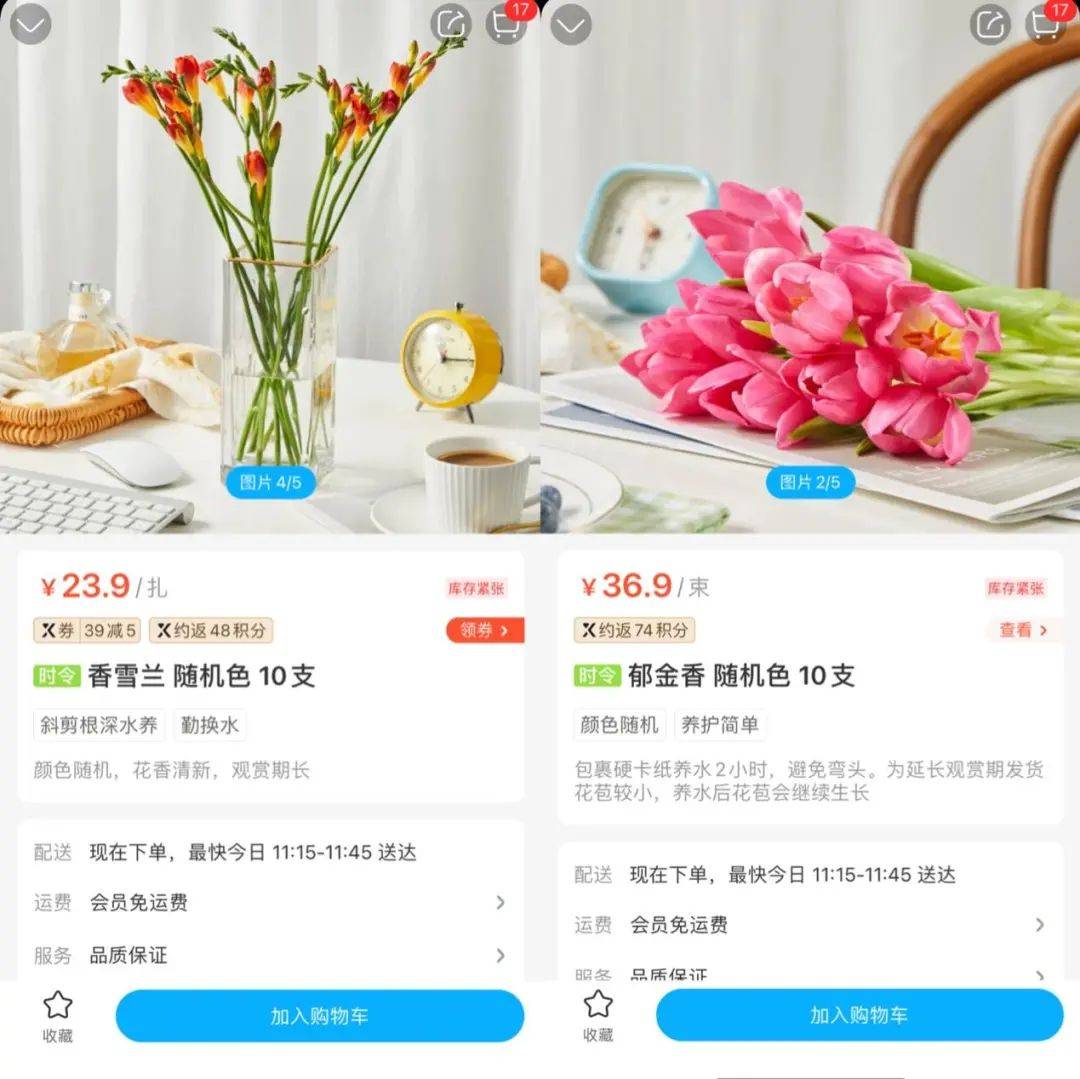 玫瑰价格高高高！这些小众花受追捧→ 爱申活暖心春(图2)