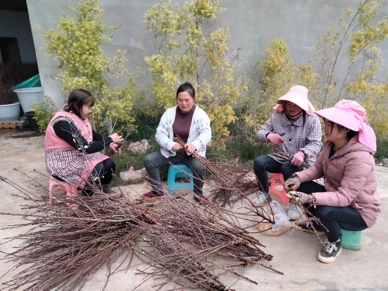 春江水暖花先知 这个小众鲜花在盒马销售爆涨320%(图4)