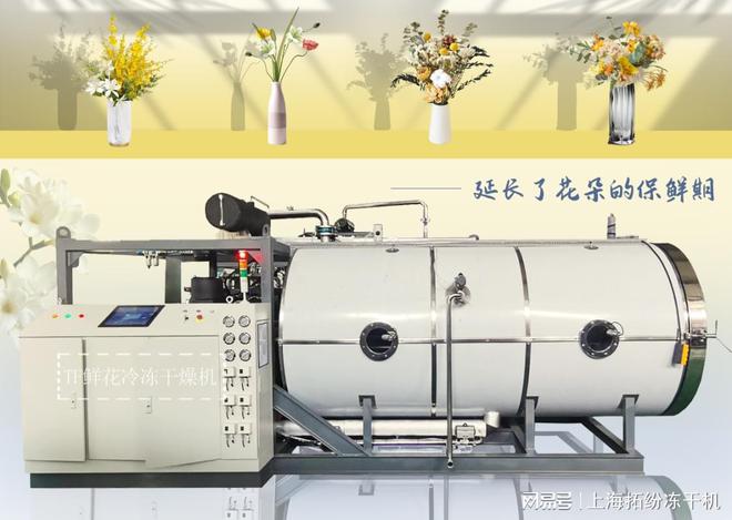 花卉冻干机（鲜花冷冻干燥机）百科(图3)