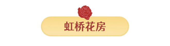 思南迎新季「冬日花市」买花攻略来啦！过百种花卉等你来撩！(图3)