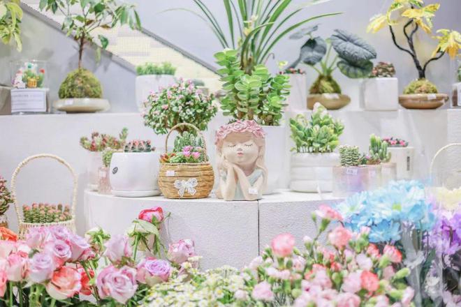 思南迎新季「冬日花市」买花攻略来啦！过百种花卉等你来撩！(图15)