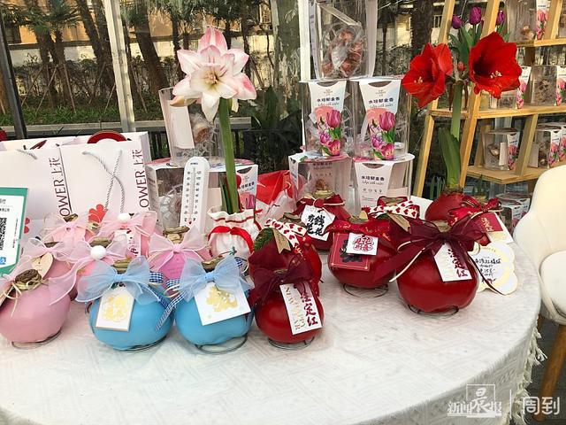 来上海市中心逛逛花的世界现场还有音乐会和文创设计！(图4)