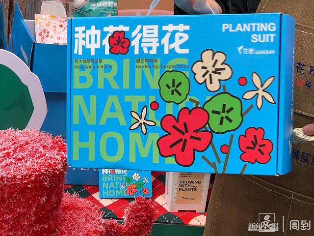 来上海市中心逛逛花的世界现场还有音乐会和文创设计！(图2)
