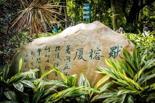 打卡有礼！持续一整个月！(图4)
