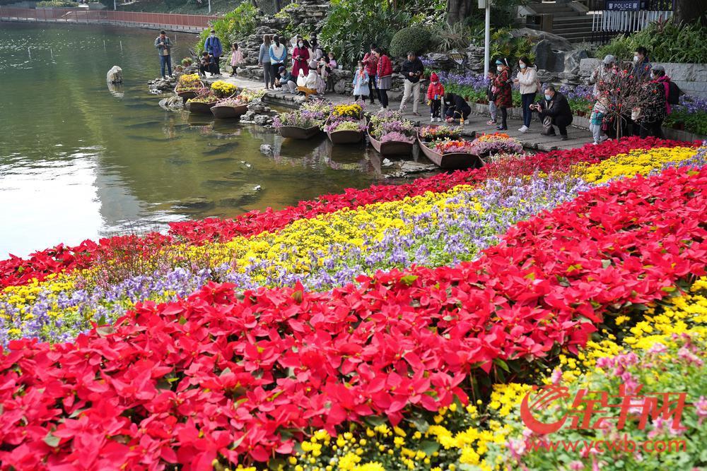 @街坊们请查收广州荔湾花市全攻略！时间、地点、特色都在这了(图4)