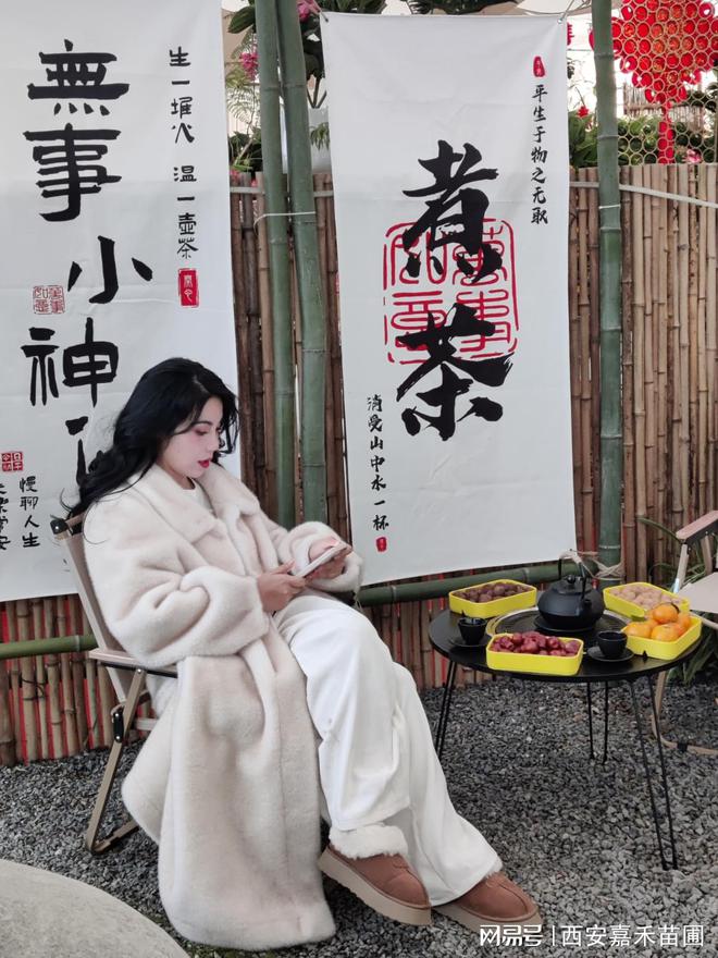 2024长安花礼年宵花展盛大开幕啦！(图4)