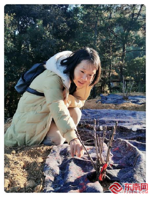永泰县红星乡：建立香草种植“小基地” 做实人才培养“大文章”(图2)