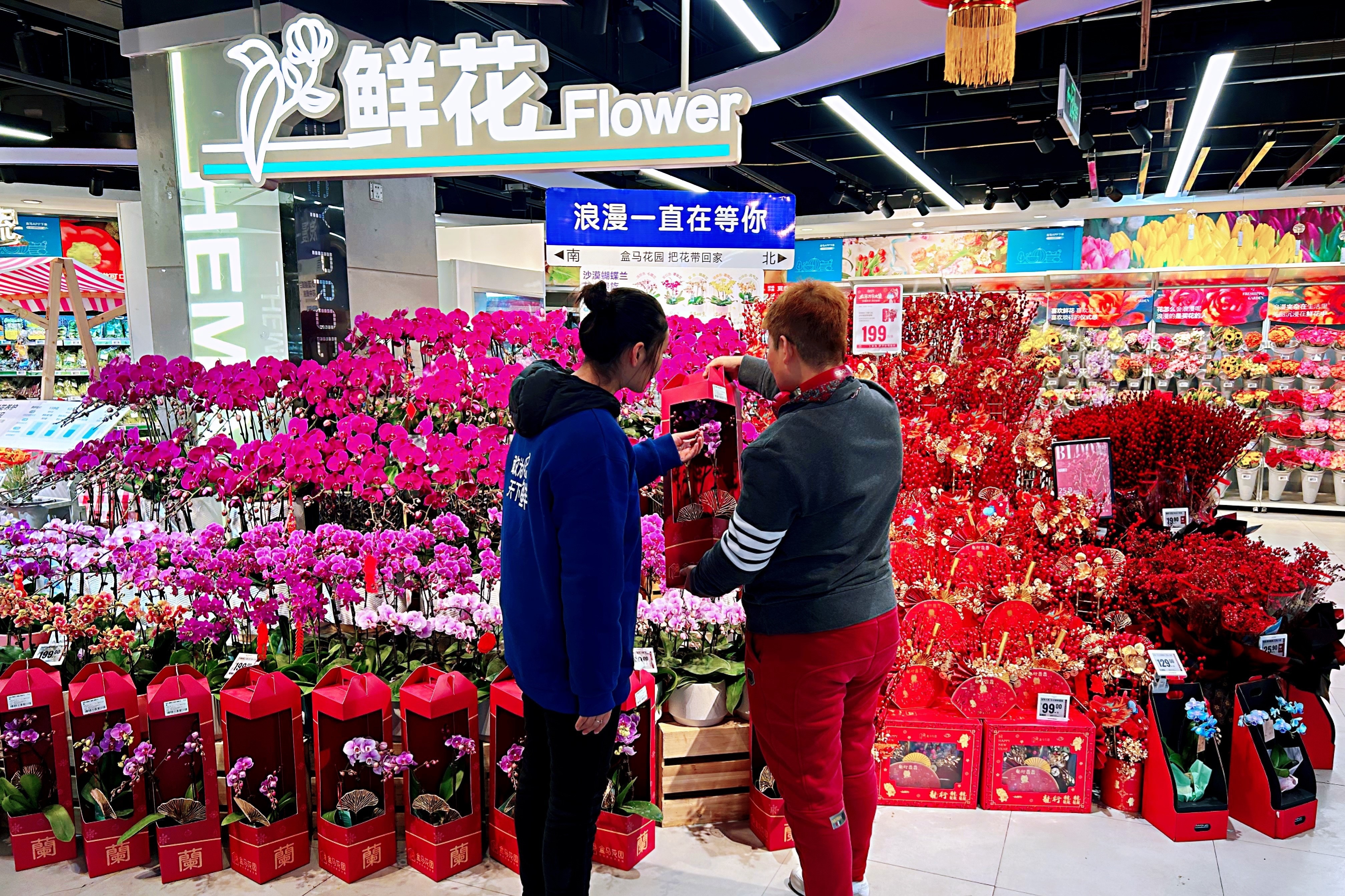 备年货时间到了！盒马“年宵花专列”从云南发车(图2)