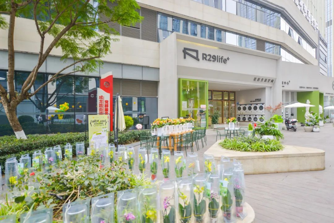 社区花园+邻里花店！家门口的“幸福圈”再出新花样(图5)