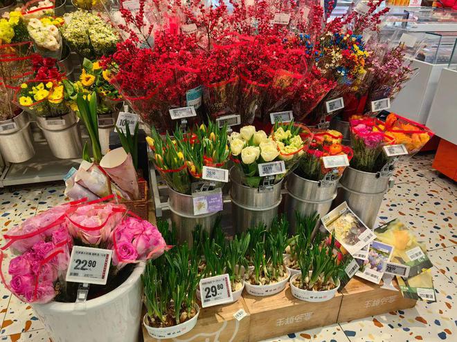 春节临近年宵花迎来热销(图2)