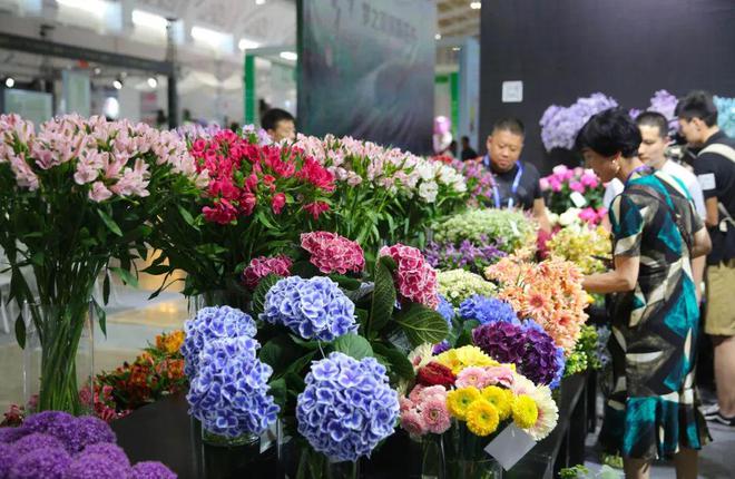 长沙县已开启！这5条精品旅游路线别错过！(图7)