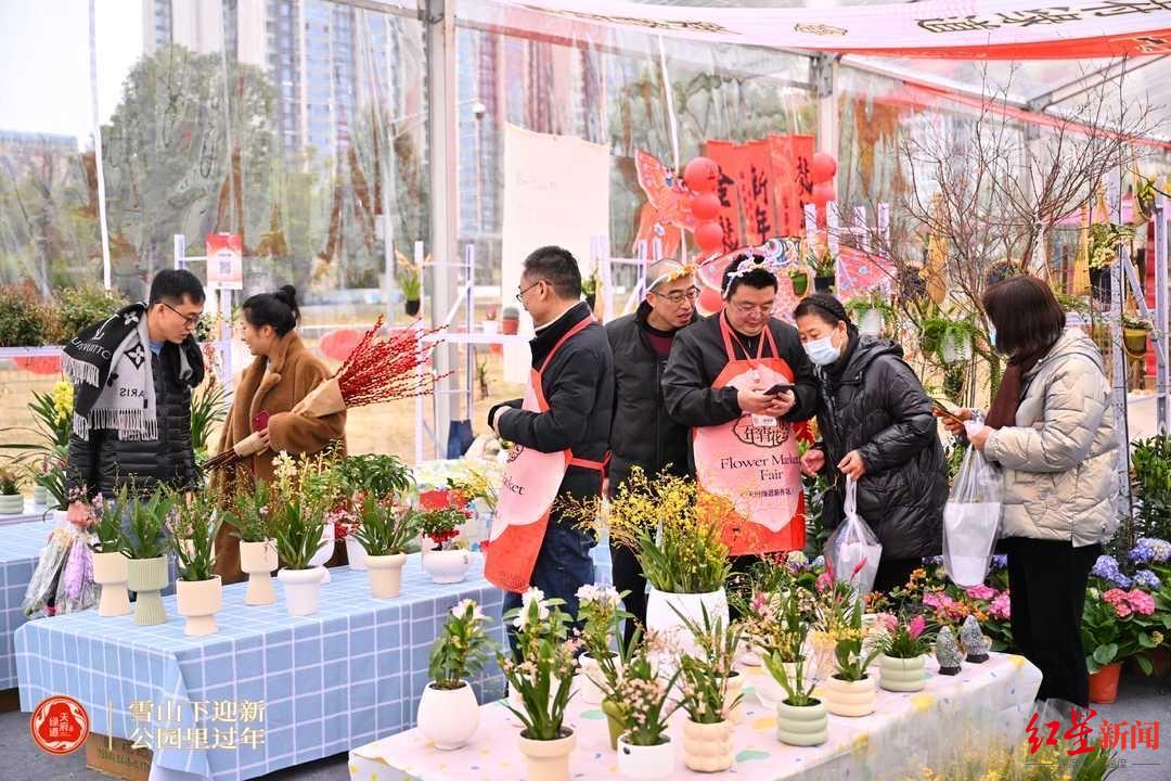2024年“二月花市年宵花会”开市桂溪生态公园元宵节还有千份汤圆免费吃(图3)