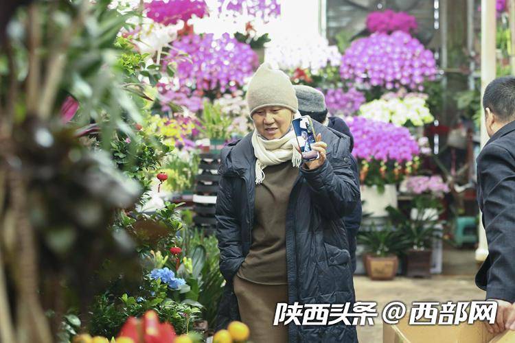 西安花卉市场持续升温(图2)