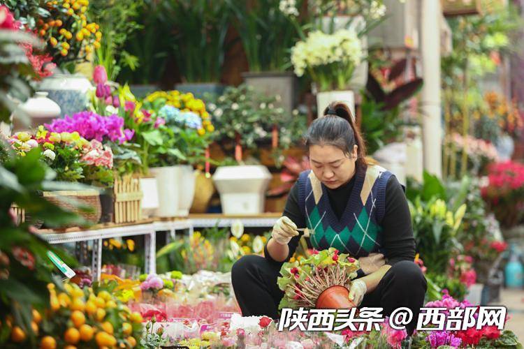 西安花卉市场持续升温(图4)