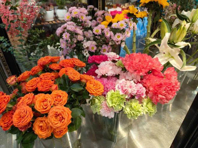 年销花卉为春节“添彩儿”(图4)