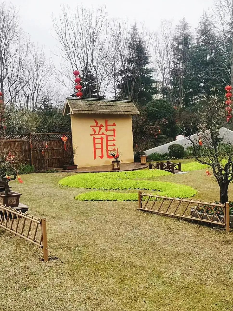 莘庄梅展18日开幕新增南闵行分会场、还有1000份新春礼物……打卡全攻略来了！(图4)