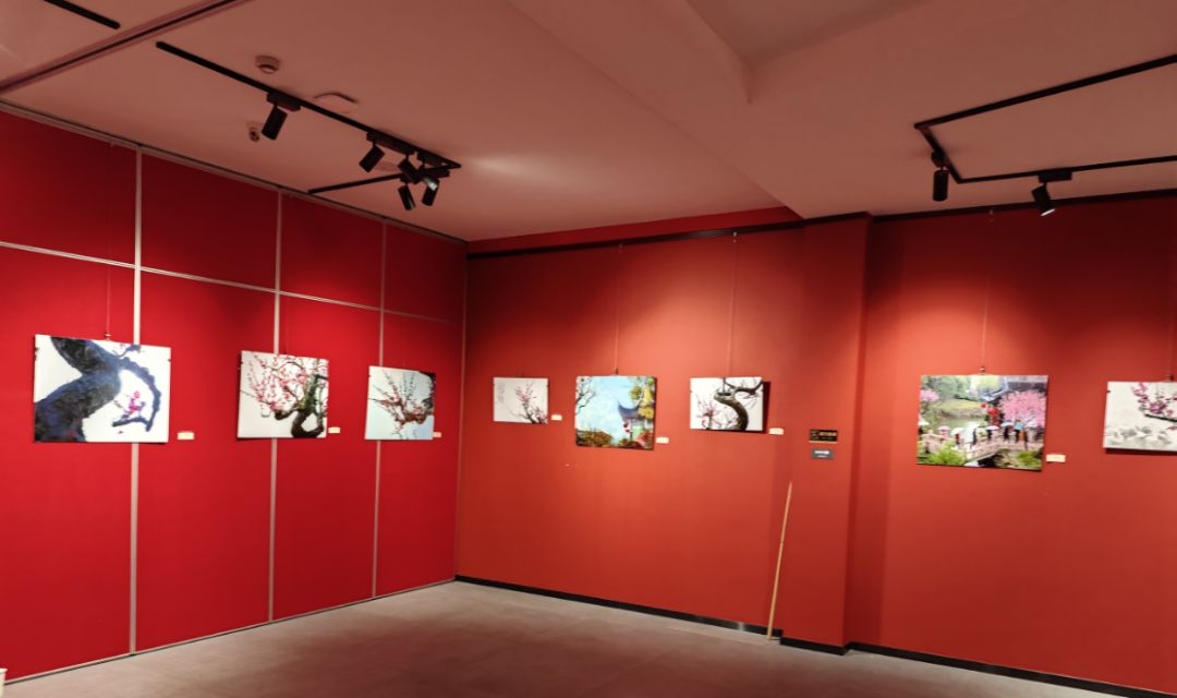 莘庄梅展18日开幕新增南闵行分会场、还有1000份新春礼物……打卡全攻略来了！(图10)