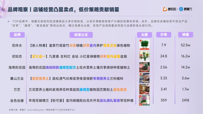 低价厮杀卷疯了的鲜花电商！抖音「鲜花绿植」行业报告出炉(图8)