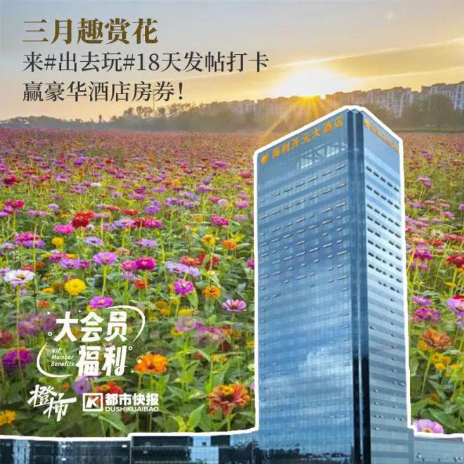 浙大专家科普毛孩子不能碰的绿植！分享萌宠养护知识橙柿送你惊喜福利(图14)