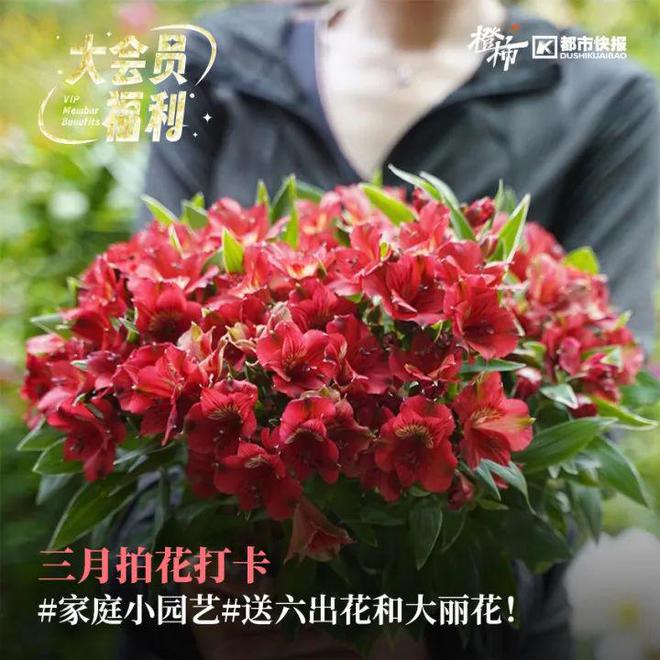 浙大专家科普毛孩子不能碰的绿植！分享萌宠养护知识橙柿送你惊喜福利(图12)