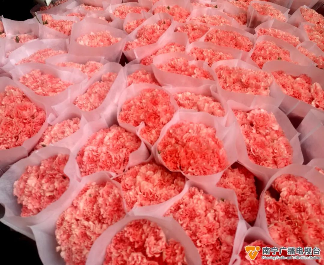 “三八妇女节”热销花品种出炉→(图3)