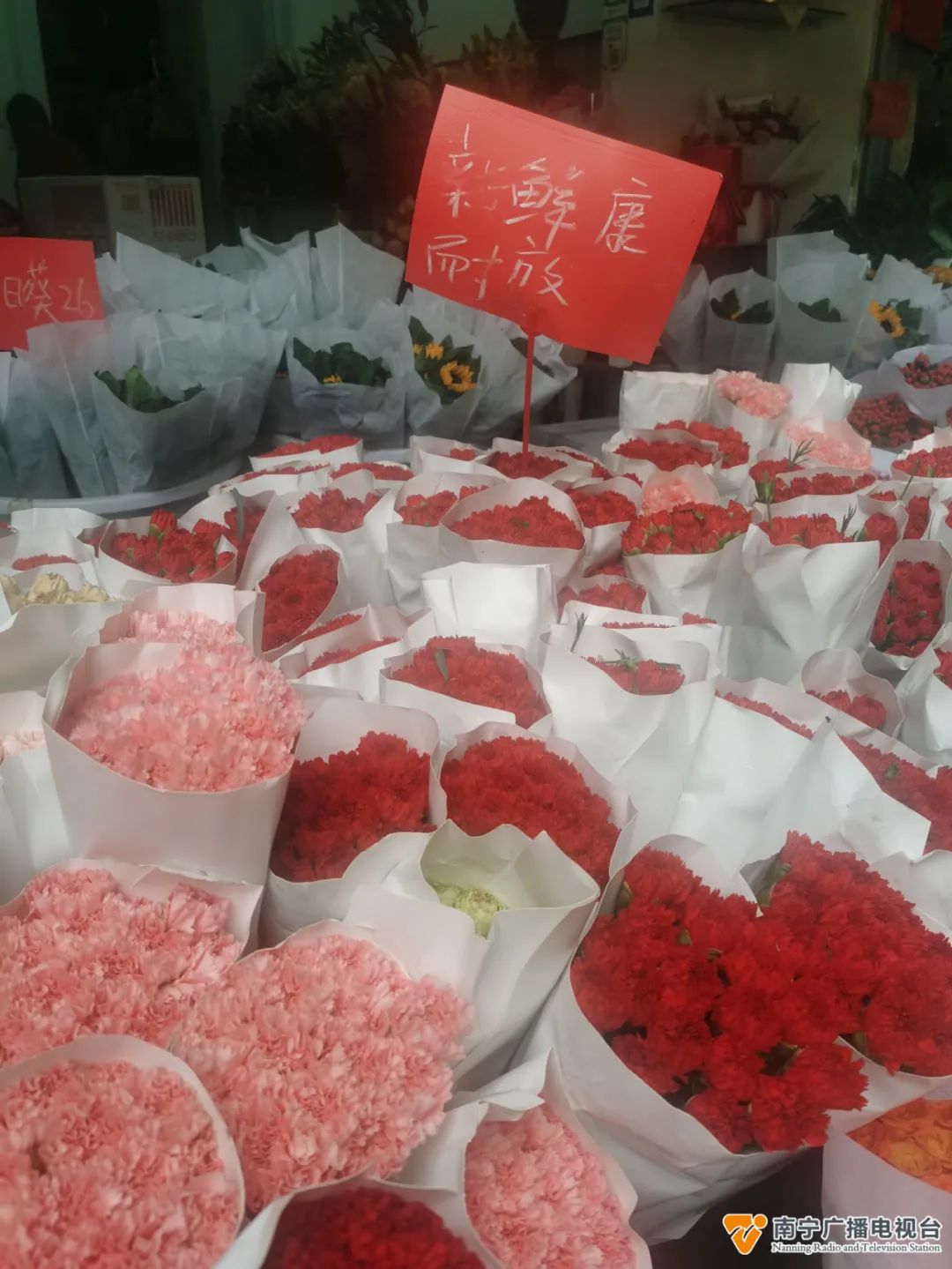 “三八妇女节”热销花品种出炉→(图4)