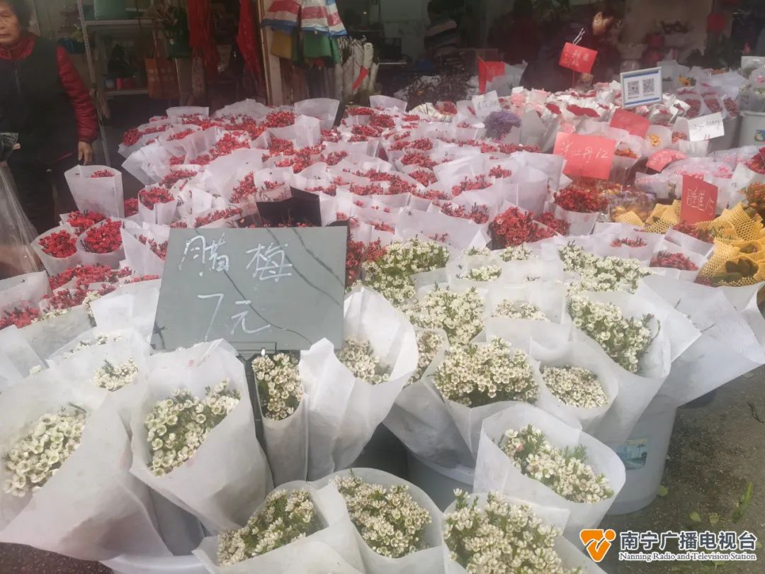 “三八妇女节”热销花品种出炉→(图5)