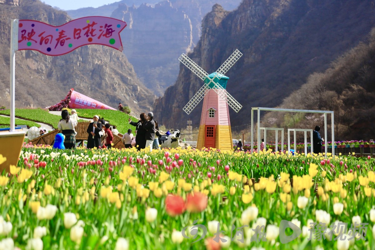河南多地春景大赏：梅花与樱花争奇斗艳快来打卡吧(图13)
