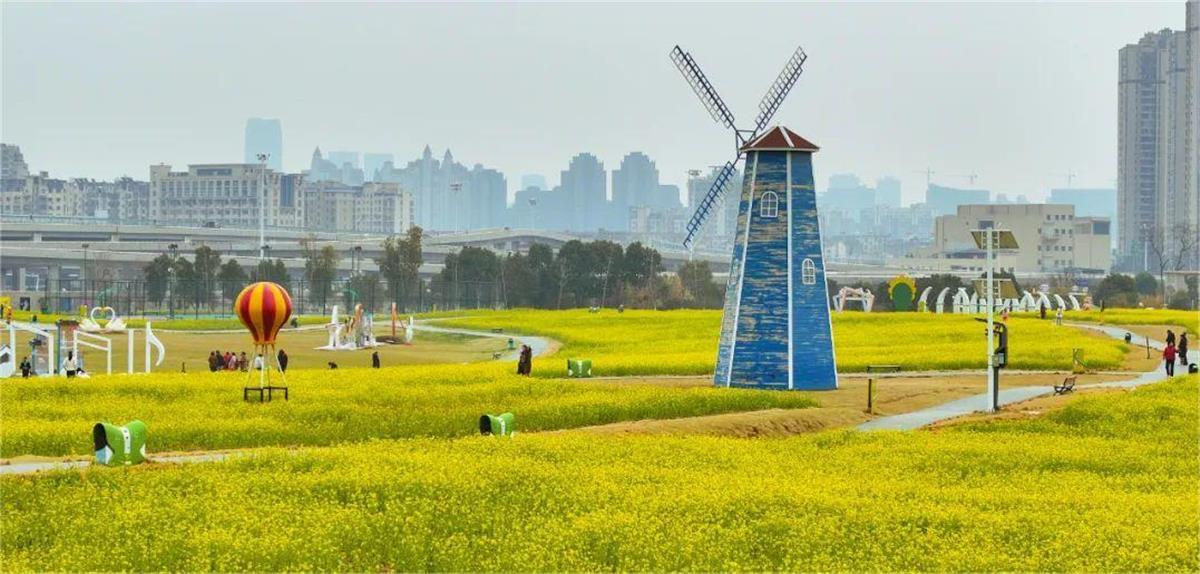 春到南昌花满城生态美景引客来赏花经济助力乡村振兴(图2)