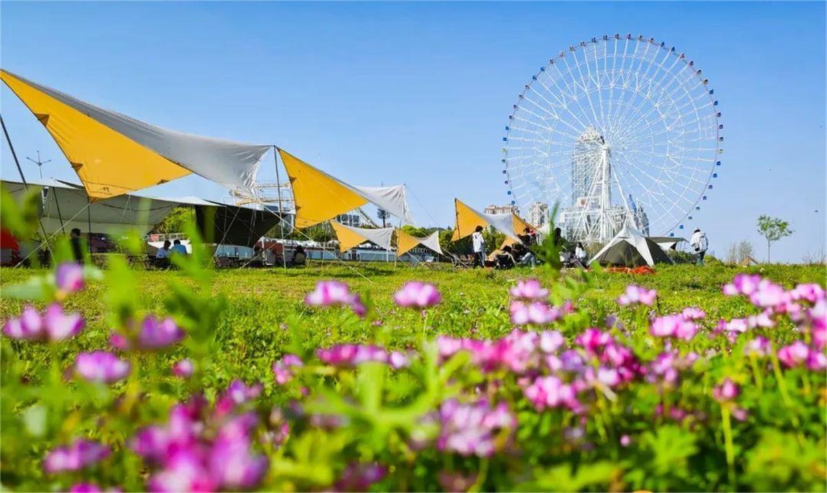 春到南昌花满城生态美景引客来赏花经济助力乡村振兴(图5)