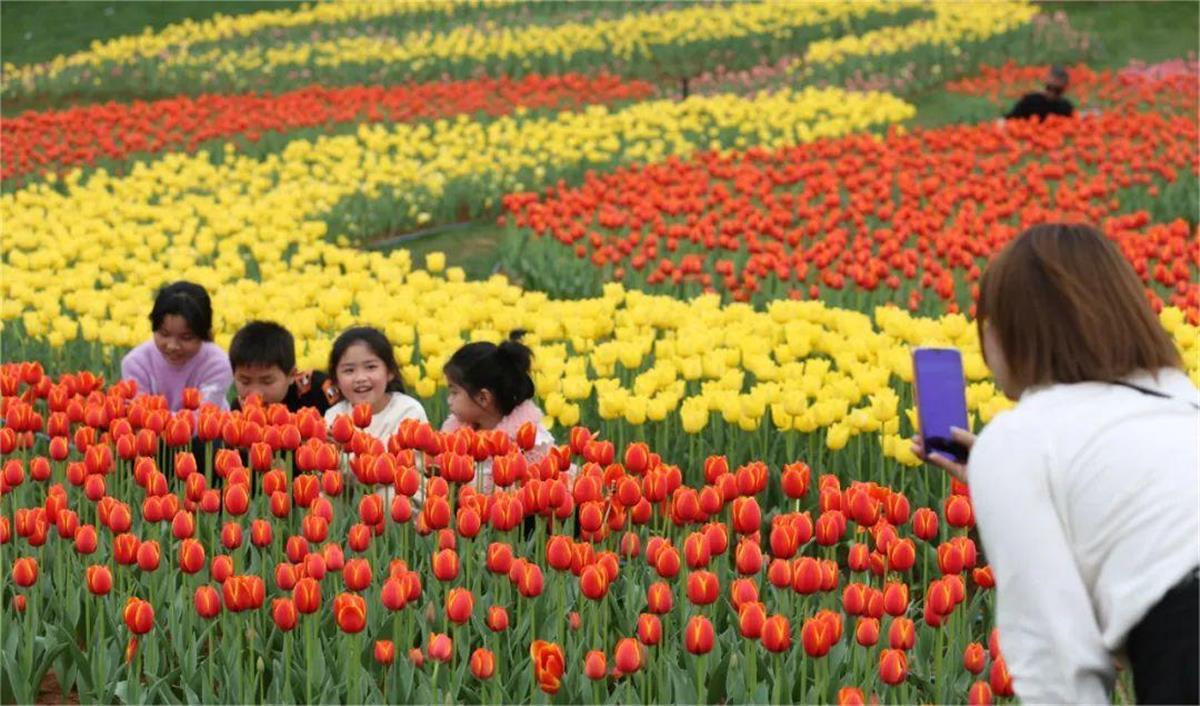 春到南昌花满城生态美景引客来赏花经济助力乡村振兴(图6)