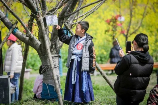 2024崇明花朝节周四开幕！这份游玩攻略请收好(图4)
