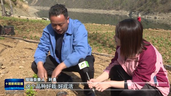 “绽放”消费新活力张湾区“美丽经济”一路生花(图2)