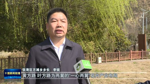 “绽放”消费新活力张湾区“美丽经济”一路生花(图5)
