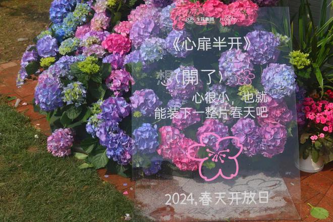 黄浦追梦园里“闹”春：“2024想开了！”(图4)
