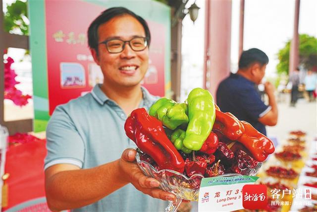深读丨食用、药用、美容、防腐……南繁辣椒新品个个不简单(图7)