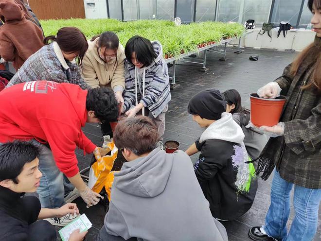 校友种下十万株向日葵、薰衣草毕业季送学生一片花海(图3)