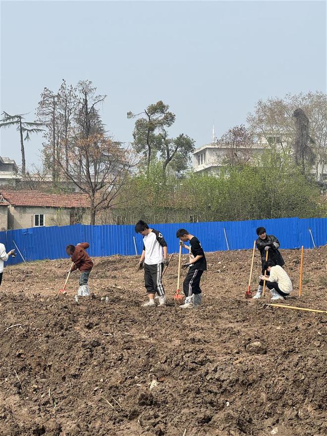校友种下十万株向日葵、薰衣草毕业季送学生一片花海(图2)