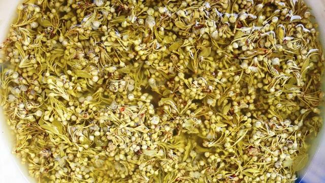 “花样”昆明 如何打造鲜花美食城市IP(图8)