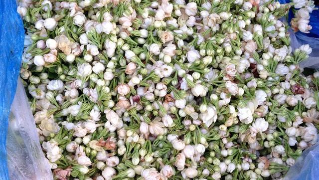 “花样”昆明 如何打造鲜花美食城市IP(图9)