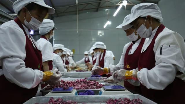 “花样”昆明 如何打造鲜花美食城市IP(图11)