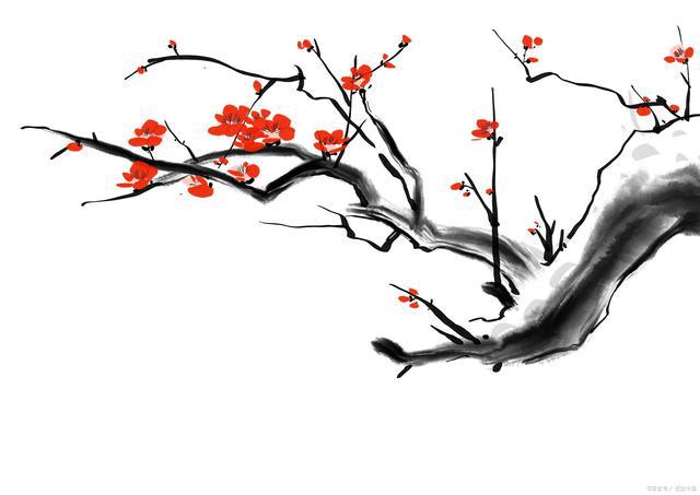 梅花花语象征与寓意：一份优雅而坚韧的礼物(图5)