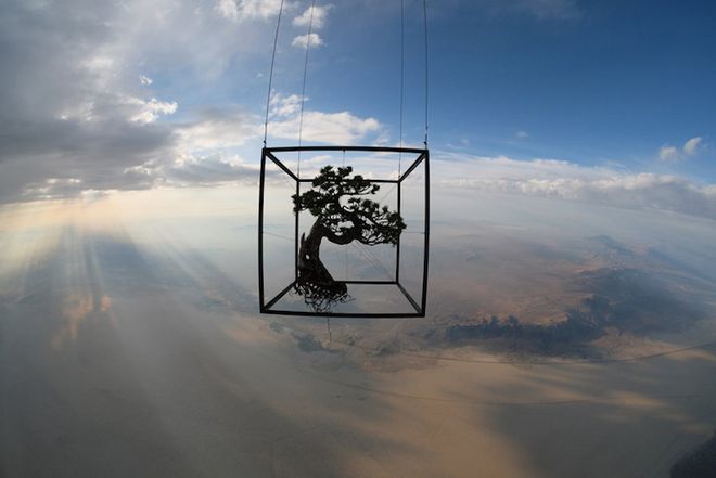 世界航天日：艺术界的“太空竞赛”(图7)