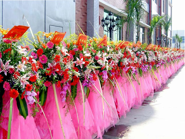 鲜花花架 节日开业鲜花礼品(图3)