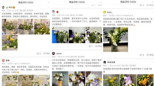 线上鲜花的新故事向美好生活而去(图7)