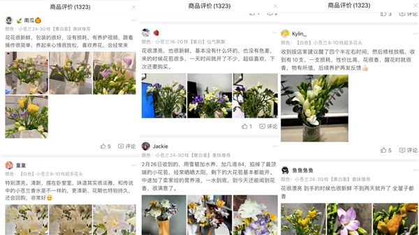 线上鲜花的新故事 向美好生活而去(图7)
