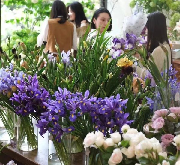 为城市添彩领时尚风潮……上海植物园自研观赏植物新品种达111个“从科研到绿地”之路这么走(图16)